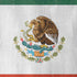Mexico Flag Distressed iPhone XS Max Skin